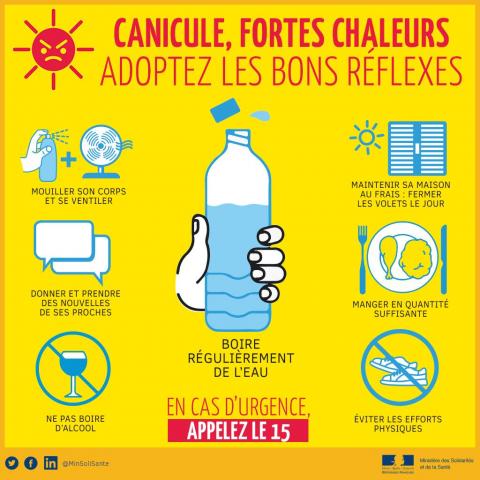 Canicule, les bons réflexes